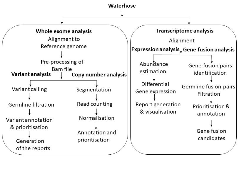 Overall schema of Waterhose 