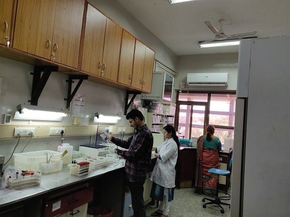 Red Cell Serology Laboratory