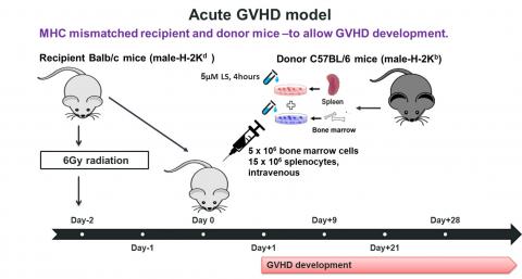 Host Disease (GVHD)