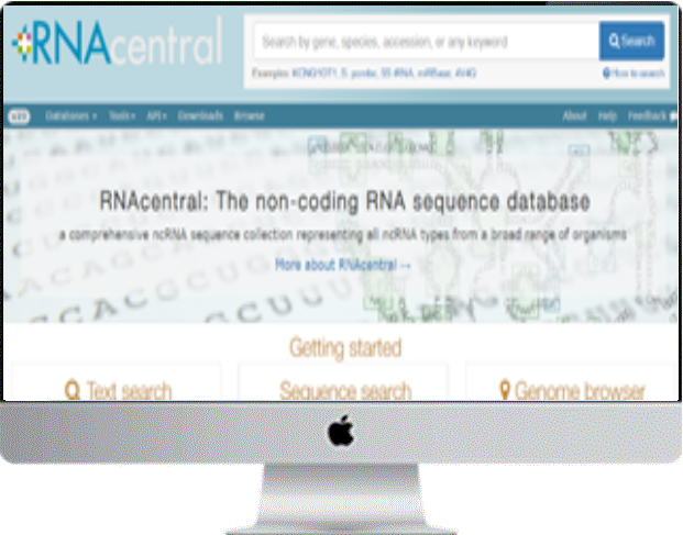 desktop Image desktop Image