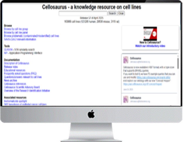 desktop Image
