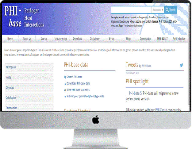 desktop Image